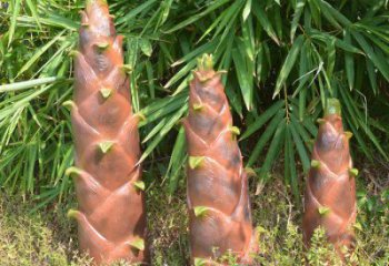 竹筍雕塑預定,創意雕塑,不銹鋼竹筍雕塑選用