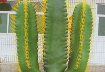 昆明庭院仙人掌雕塑